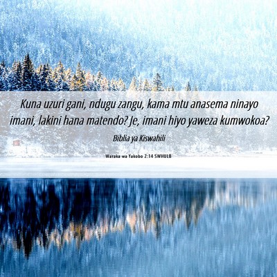 Picture 06 - Waraka wa Yakobo 2:14 SWHULB - Kuna uzuri gani, ndugu zangu, kama mtu anasema - Bible Verse Picture