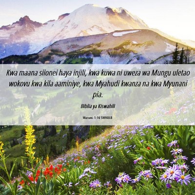Picture 06 - Warumi 1:16 SWHULB - Kwa maana siionei haya injili, kwa kuwa ni uweza - Bible Verse Picture