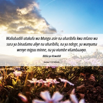 Picture 06 - Warumi 1:23 SWHULB - Waliubadili utukufu wa Mungu asie na uharibifu - Bible Verse Picture