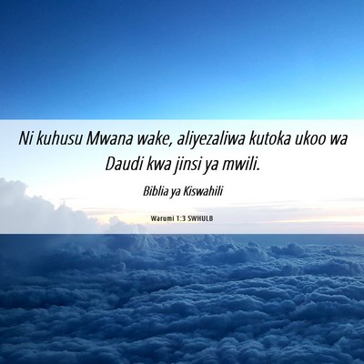 Picture 06 - Warumi 1:3 SWHULB - Ni kuhusu Mwana wake, aliyezaliwa kutoka ukoo wa - Bible Verse Picture
