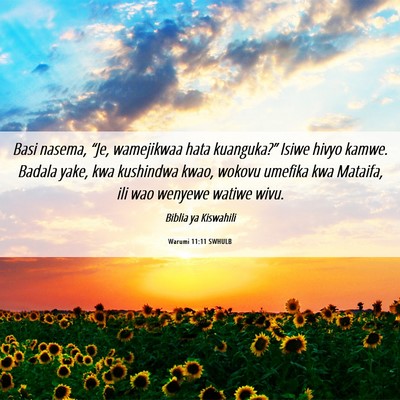 Picture 06 - Warumi 11:11 SWHULB - Basi nasema, “Je, wamejikwaa hata kuanguka?” - Bible Verse Picture