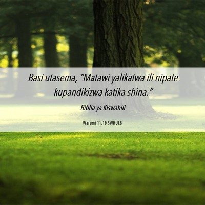 Picture 06 - Warumi 11:19 SWHULB - Basi utasema, “Matawi yalikatwa ili nipate - Bible Verse Picture