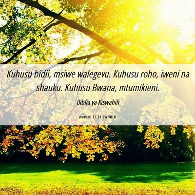 Picture 06 - Warumi 12:11 SWHULB - Kuhusu bidii, msiwe walegevu. Kuhusu roho, iweni - Bible Verse Picture