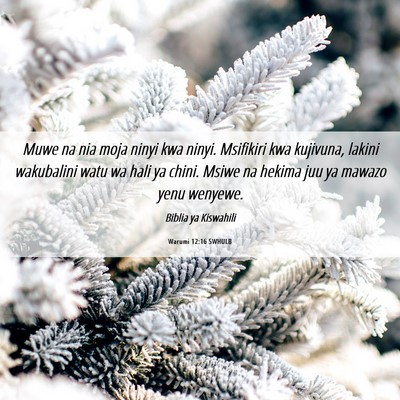 Picture 06 - Warumi 12:16 SWHULB - Muwe na nia moja ninyi kwa ninyi. Msifikiri kwa - Bible Verse Picture