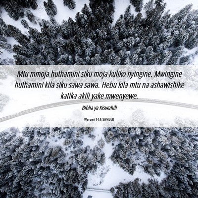 Picture 06 - Warumi 14:5 SWHULB - Mtu mmoja huthamini siku moja kuliko nyingine. - Bible Verse Picture