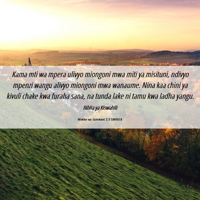 Picture 06 - Wimbo wa Sulemani 2:3 SWHULB - Kama mti wa mpera ulivyo miongoni mwa miti ya - Bible Verse Picture