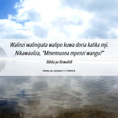 Picture 06 - Wimbo wa Sulemani 3:3 SWHULB - Walinzi walinipata walipo kuwa doria katika mji. - Bible Verse Picture