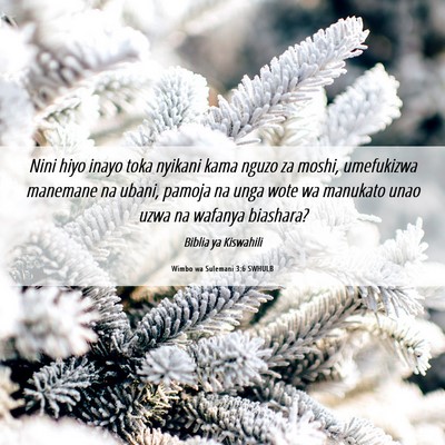 Picture 06 - Wimbo wa Sulemani 3:6 SWHULB - Nini hiyo inayo toka nyikani kama nguzo za moshi, - Bible Verse Picture