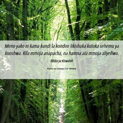 Picture 06 - Wimbo wa Sulemani 6:6 SWHULB - Meno yako ni kama kundi la kondoo likishuka - Bible Verse Picture