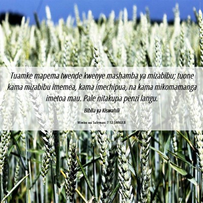 Picture 06 - Wimbo wa Sulemani 7:12 SWHULB - Tuamke mapema twende kwenye mashamba ya mizabibu; - Bible Verse Picture