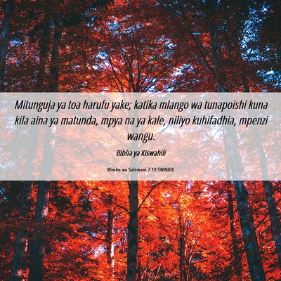 Picture 06 - Wimbo wa Sulemani 7:13 SWHULB - Mitunguja ya toa harufu yake; katika mlango wa - Bible Verse Picture