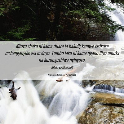 Picture 06 - Wimbo wa Sulemani 7:2 SWHULB - Kitovu chako ni kama duara la bakuli; kamwe - Bible Verse Picture