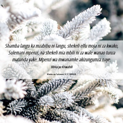 Picture 06 - Wimbo wa Sulemani 8:12 SWHULB - Shamba langu ka mzabibu ni langu, shekeli elfu - Bible Verse Picture