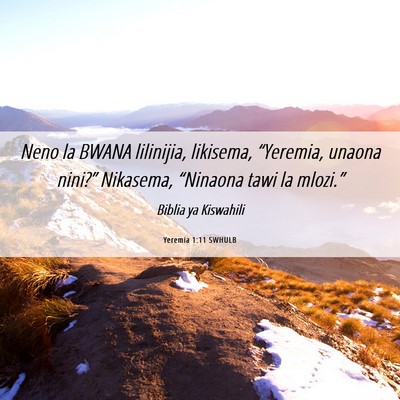 Picture 06 - Yeremia 1:11 SWHULB - Neno la BWANA lilinijia, likisema, “Yeremia, - Bible Verse Picture