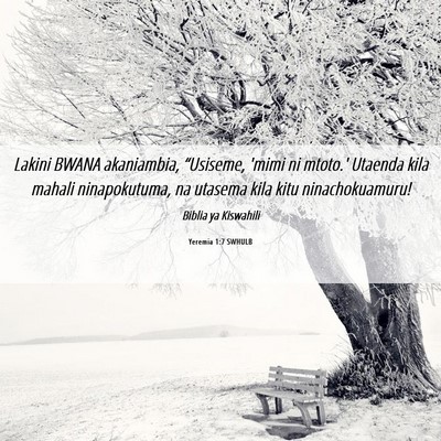 Picture 06 - Yeremia 1:7 SWHULB - Lakini BWANA akaniambia, “Usiseme, 'mimi ni - Bible Verse Picture