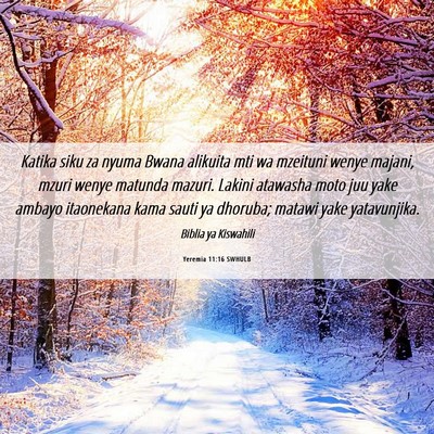 Picture 06 - Yeremia 11:16 SWHULB - Katika siku za nyuma Bwana alikuita mti wa - Bible Verse Picture