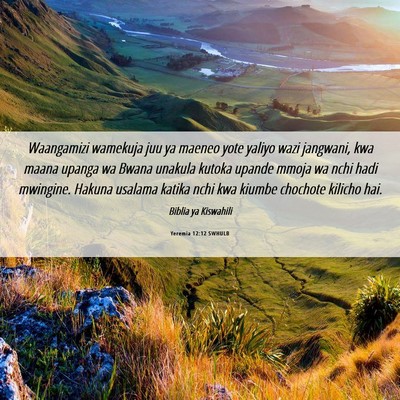 Picture 06 - Yeremia 12:12 SWHULB - Waangamizi wamekuja juu ya maeneo yote yaliyo - Bible Verse Picture