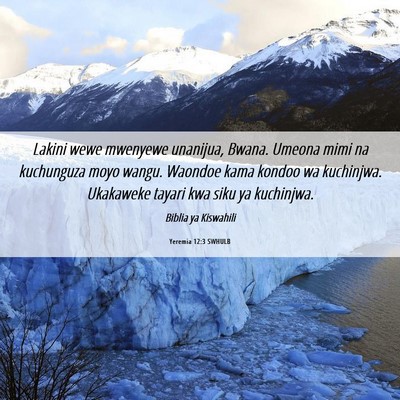 Picture 06 - Yeremia 12:3 SWHULB - Lakini wewe mwenyewe unanijua, Bwana. Umeona mimi - Bible Verse Picture