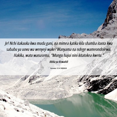 Picture 06 - Yeremia 12:4 SWHULB - Je! Nchi itakauka kwa muda gani, na mimea katika - Bible Verse Picture