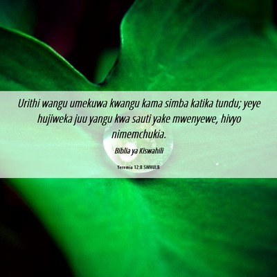 Picture 06 - Yeremia 12:8 SWHULB - Urithi wangu umekuwa kwangu kama simba katika - Bible Verse Picture
