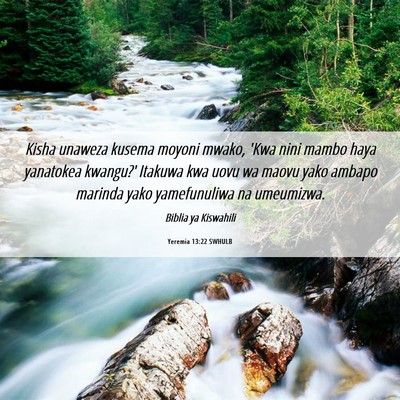 Picture 06 - Yeremia 13:22 SWHULB - Kisha unaweza kusema moyoni mwako, 'Kwa nini - Bible Verse Picture