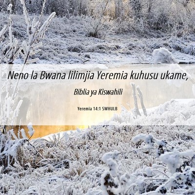 Picture 06 - Yeremia 14:1 SWHULB - Neno la Bwana lilimjia Yeremia kuhusu - Bible Verse Picture