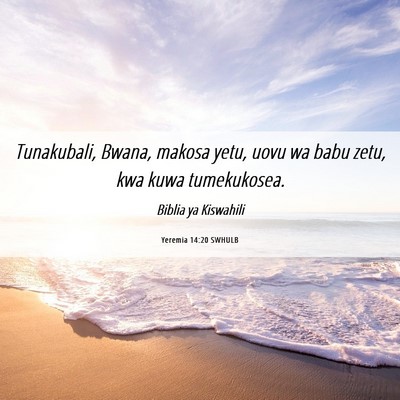 Picture 06 - Yeremia 14:20 SWHULB - Tunakubali, Bwana, makosa yetu, uovu wa babu - Bible Verse Picture