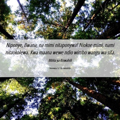 Picture 06 - Yeremia 17:14 SWHULB - Niponye, Bwana, na mimi nitaponywa! Niokoe mimi, - Bible Verse Picture