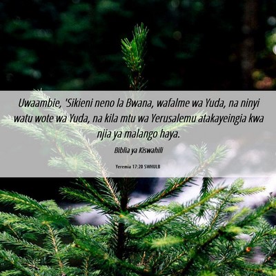 Picture 06 - Yeremia 17:20 SWHULB - Uwaambie, 'Sikieni neno la Bwana, wafalme wa - Bible Verse Picture