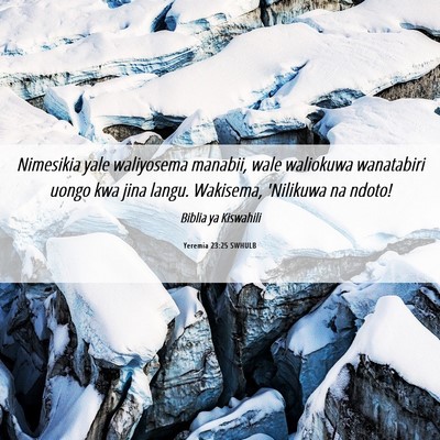 Picture 06 - Yeremia 23:25 SWHULB - Nimesikia yale waliyosema manabii, wale waliokuwa - Bible Verse Picture