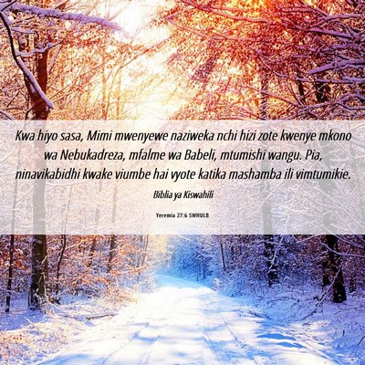 Picture 06 - Yeremia 27:6 SWHULB - Kwa hiyo sasa, Mimi mwenyewe naziweka nchi hizi - Bible Verse Picture