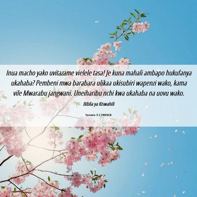 Picture 06 - Yeremia 3:2 SWHULB - Inua macho yako uvitazame vielele tasa! Je kuna - Bible Verse Picture