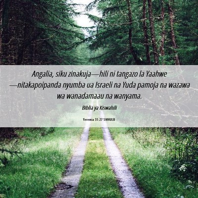 Picture 06 - Yeremia 31:27 SWHULB - Angalia, siku zinakuja—hili ni tangazo la - Bible Verse Picture
