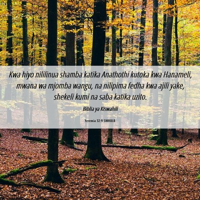 Picture 06 - Yeremia 32:9 SWHULB - Kwa hiyo nililinua shamba katika Anathothi kutoka - Bible Verse Picture