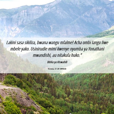 Picture 06 - Yeremia 37:20 SWHULB - Lakini sasa sikiliza, bwana wangu mfalme! Acha - Bible Verse Picture