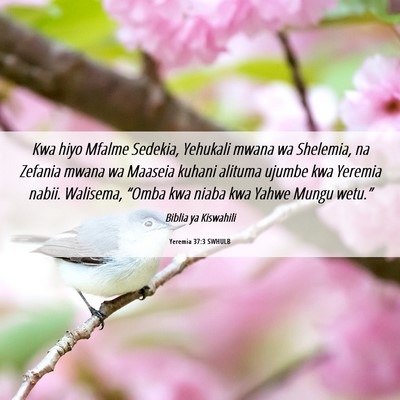 Picture 06 - Yeremia 37:3 SWHULB - Kwa hiyo Mfalme Sedekia, Yehukali mwana wa - Bible Verse Picture