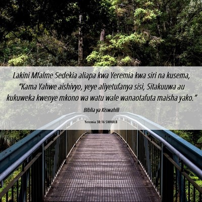 Picture 06 - Yeremia 38:16 SWHULB - Lakini Mfalme Sedekia aliapa kwa Yeremia kwa siri - Bible Verse Picture