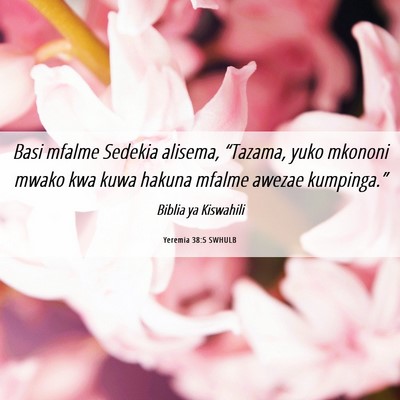 Picture 06 - Yeremia 38:5 SWHULB - Basi mfalme Sedekia alisema, “Tazama, yuko - Bible Verse Picture