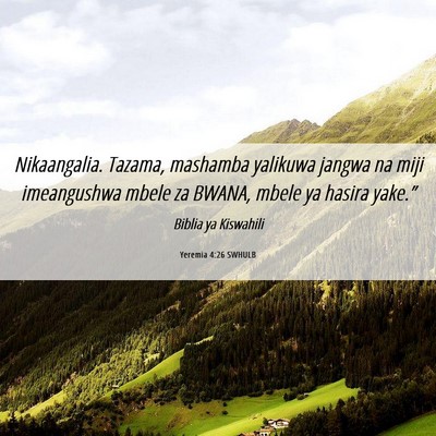 Picture 06 - Yeremia 4:26 SWHULB - Nikaangalia. Tazama, mashamba yalikuwa jangwa na - Bible Verse Picture