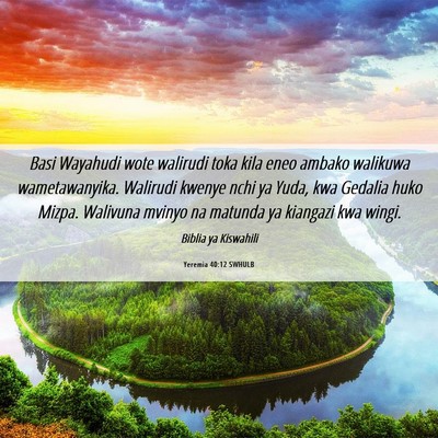 Picture 06 - Yeremia 40:12 SWHULB - Basi Wayahudi wote walirudi toka kila eneo ambako - Bible Verse Picture