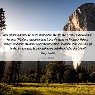 Picture 06 - Yeremia 40:15 SWHULB - Basi Yonathan mwana wa Karea alizungumza kwa siri - Bible Verse Picture