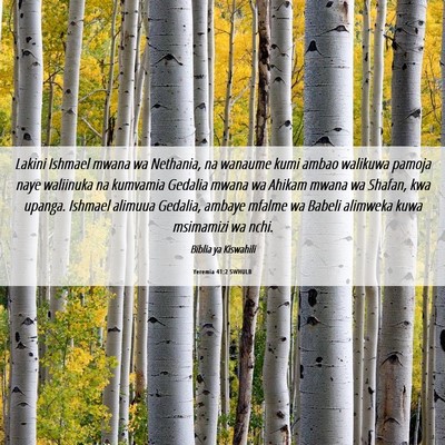 Picture 06 - Yeremia 41:2 SWHULB - Lakini Ishmael mwana wa Nethania, na wanaume kumi - Bible Verse Picture