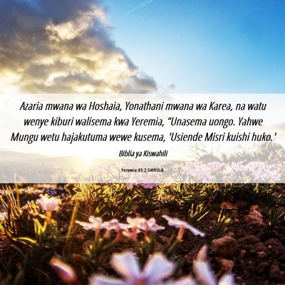 Picture 06 - Yeremia 43:2 SWHULB - Azaria mwana wa Hoshaia, Yonathani mwana wa - Bible Verse Picture