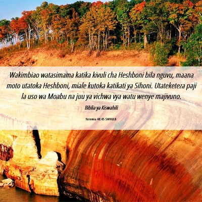Picture 06 - Yeremia 48:45 SWHULB - Wakimbiao watasimama katika kivuli cha Heshboni - Bible Verse Picture
