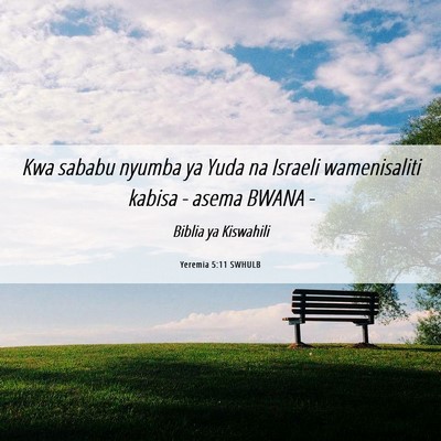 Picture 06 - Yeremia 5:11 SWHULB - Kwa sababu nyumba ya Yuda na Israeli wamenisaliti - Bible Verse Picture