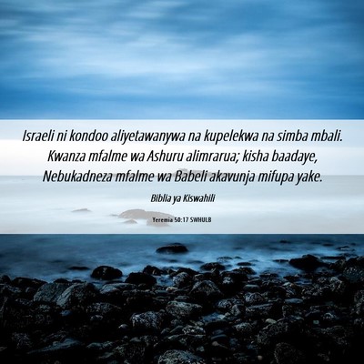 Picture 06 - Yeremia 50:17 SWHULB - Israeli ni kondoo aliyetawanywa na kupelekwa na - Bible Verse Picture