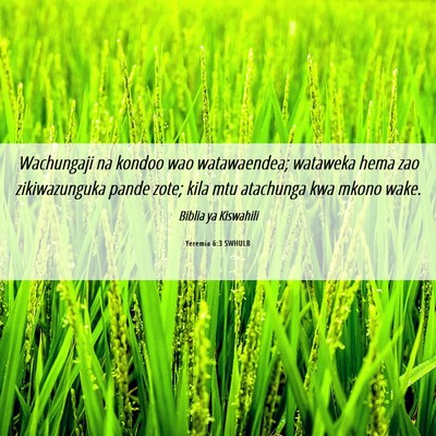 Picture 06 - Yeremia 6:3 SWHULB - Wachungaji na kondoo wao watawaendea; wataweka - Bible Verse Picture