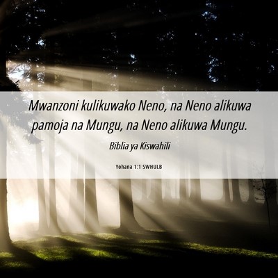 Picture 06 - Yohana 1:1 SWHULB - Mwanzoni kulikuwako Neno, na Neno alikuwa pamoja - Bible Verse Picture