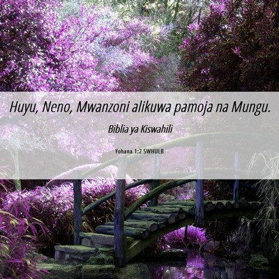 Picture 06 - Yohana 1:2 SWHULB - Huyu, Neno, Mwanzoni alikuwa pamoja na - Bible Verse Picture