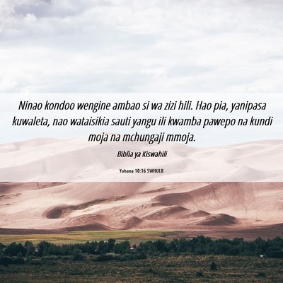 Picture 06 - Yohana 10:16 SWHULB - Ninao kondoo wengine ambao si wa zizi hili. Hao - Bible Verse Picture